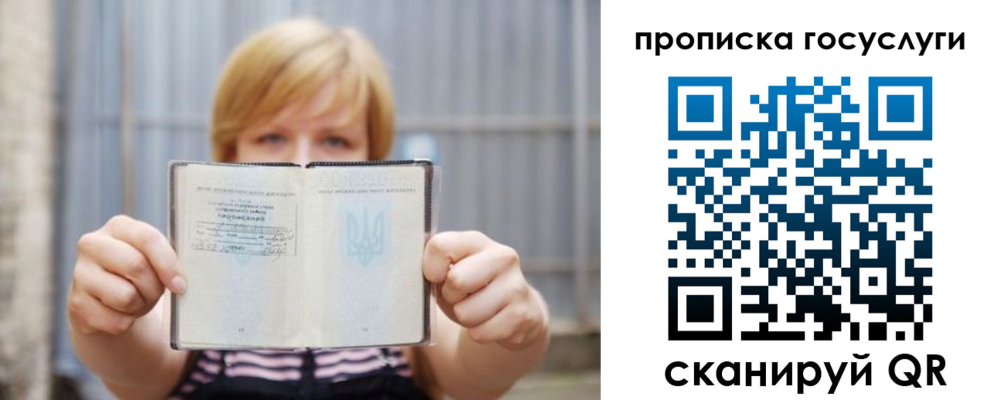 прописка гарантия в Домодедово